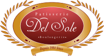 Delsole logo